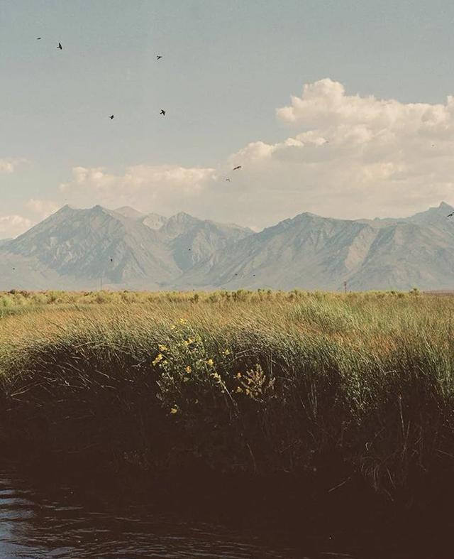 Sunlit grass and mountain landscape